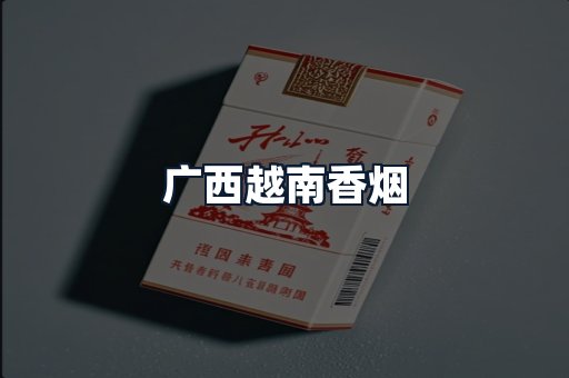 广西越南香烟